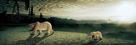 Dónde está sus casas? / ©: WWF Dónde está sus casas? rel=