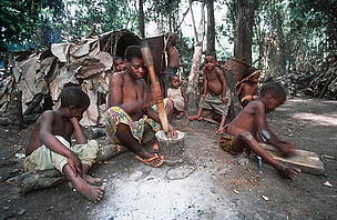 Pygmy of the BaAka tribe, family preparing food in a village.
© WWF / Martin HARVEY
© WWF / Martin HARVEY