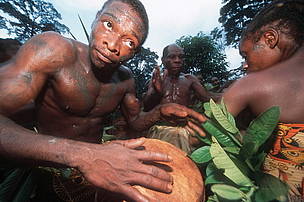 Pygmy of the BaAka tribe performing a dance celebration. The villagers manage their own hunting ...
© WWF / Martin HARVEY
© WWF / Martin HARVEY