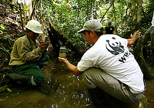 Equipo de WWF Perú y pobladores locales monitoreando la calidad del agua para asegurar que esté ...
© BRENT STIRTON / GETTY IMAGES / WWF
© BRENT STIRTON / GETTY IMAGES / WWF