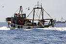 Trawlers operating in the Mediterranean Sea. / ©: WWF-Canon / Isaac Vega Trawlers operating in the Mediterranean Sea. / ©: WWF-Canon / Isaac Vega