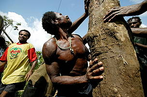 Villagers in Papua New Guinea handling log