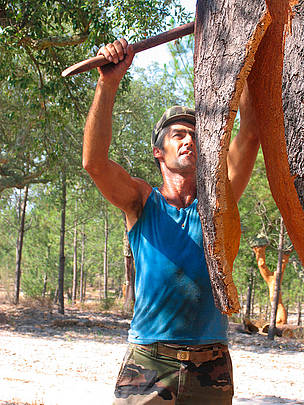 Cork harvesting, Portugal / ©: WWF / Claire DOOLE / ©: WWF / Claire DOOLE