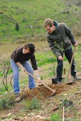 Colaboradores da Coca Cola Portugal e Refrige realizam operações florestais na Ribeira do Vascão, ...
© Coca Cola Portugal, projecto de restauro florestal WWF / Coca Cola Portugal, Ribeira do Vascão, Parque Natural do Vale do Guadiana, Mértola Colaboradores da Coca Cola Portugal e Refrige realizam operações florestais na Ribeira do Vascão, ...
© Coca Cola Portugal, projecto de restauro florestal WWF / Coca Cola Portugal, Ribeira do Vascão, Parque Natural do Vale do Guadiana, Mértola