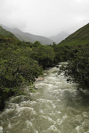 La captación natural de agua viene siendo revalorada bajo esquemas de compensación equitativa por ...
© WWF / ARMANDO MERCADO
© WWF / ARMANDO MERCADO