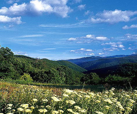 Strandza Mountains, Bulgaria
© WWF DCP rel=