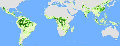 Equatorial map of forested area of the world in 2100 if we carried on at 2010 rates of ...
© WWF / IAASA LFR11 rel=