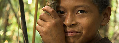 Tropical forests, Peru.
© WWF / JAMES FRANCHMAN rel=