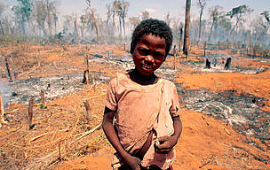 Young boy in forest burnt for cultivation. Madagascar
© WWF / John E. NEWBY
© WWF / John E. NEWBY