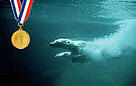 Polar Bear swimming under water