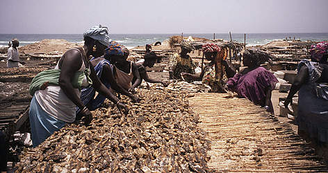 Fish market
© WWF / WORLD TELEVISION rel=