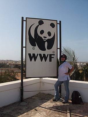 On the rooftop at WWF Dakar-arrived at last........and very excited!
© WWF / Sian Whalley
© WWF / Sian Whalley
