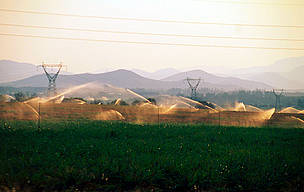 Use of inefficient irrigation systems on sugar cane plantations leaves less water for wildlife and ... / ©: WWF-Canon / John E. Newby / ©: WWF-Canon / John E. Newby