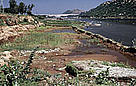 Silted river near Mettur Dam, India.
© WWF / Mauri RAUTKARI Silted river below Mettur Dam, India.
© WWF / Mauri RAUTKARI