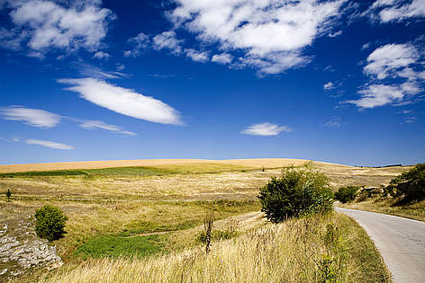 Поле в Русенски регион
© Michel Gunther a yellow field, a road and a beautiful sky rel=