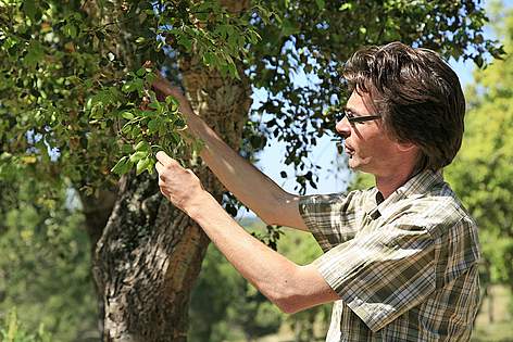 Luis N. Silva, WWF MedPO Cork Oak Landscapes Coordinator in Portugal
© WWF Mediterranean / Rui CUNHA rel=