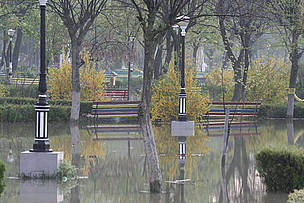 Danube floodwaters in a park from the town of Calarasi, Romania
© Alexandru Tanasie
© Alexandru Tanasie