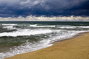 A rare stretch of natural beach on Bulgaria's Black Sea coastline.
© WWF/Michael Gunther beach and sea
© WWF/Michael Gunther