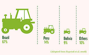 Brazil has most of the crop area of the Amazon, followed by Peru and Bolivia
© WWF
© WWF