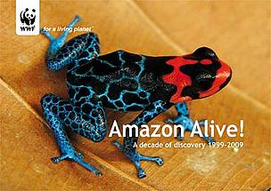 Ranitomeya benedicta, new poison frog species
© Evan Twomey
© Evan Twomey