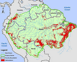 Deforestation in the Amazon Biome based on data from 2009 for Brazil and 2007-2008 for the other ... / ©: WWF / ©: WWF