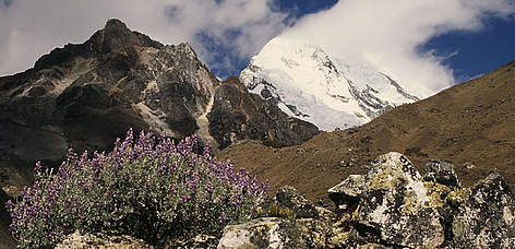 Andes Mountains, Peru.
© WWF / Kevin SCHAFER Andes Mountains, Peru. rel=
