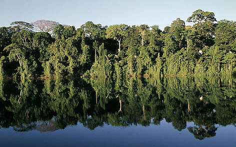 Amazon rainforest reflected on a bow lake
© Andre Bartschi / WWF / CANON rel=