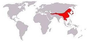 Asiatic black bear range. Areas of local extirpation have been caused by illegal hunting and ...
© Wikimedia Commons
© Wikimedia Commons