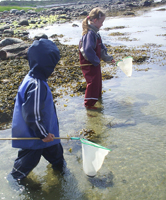 When algal blooms are active, keep children away from affected waters and shores. / ©: Alle Tiders Læsö Children play in the coastal waters of the Baltic Sea. / ©: Alle Tiders Læsö