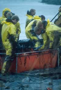 Baltic oil disaster in 2001. / ©: Alfred Schumm Baltic oil disaster in 2001. / ©: Alfred Schumm