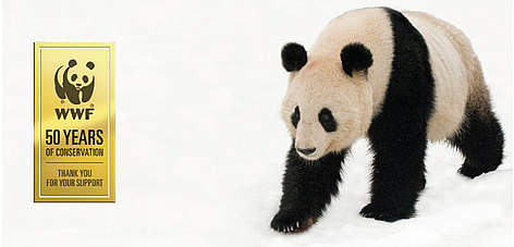 WWF: 50 de ani de conservare a naturii
© naturepl.com / Edwin Giesbers / WWF Giant Panda in the snow. rel=
