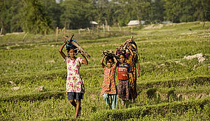 Children gathering firewood in the buffer zone that surrounds Royal Bardia National Park, Nepal. Firewood is the main source of fuel in the area. The wood can only be collected from designated forests that under the control of the Community Forestry Coordination Committee (CFCC). The committees were set up with the help of WWF in order to allow communities to manage their surrounding forests in a more sustainable way. © Simon de Trey-White / WWF-UK Children gathering firewood in the buffer zone that surrounds Royal Bardia National Park, Nepal. Firewood is the main source of fuel in the area. The wood can only be collected from designated forests that under the control of the Community Forestry Coordination Committee (CFCC). The committees were set up with the help of WWF in order to allow communities to manage their surrounding forests in a more sustainable way.