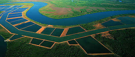 Aqualma aquaculture farm, Madagascar. This farm was the first one established in Madagascar,: ...
© Bertrand Coûteaux Aerial shot of fish ponds with mangroves in the background. rel=