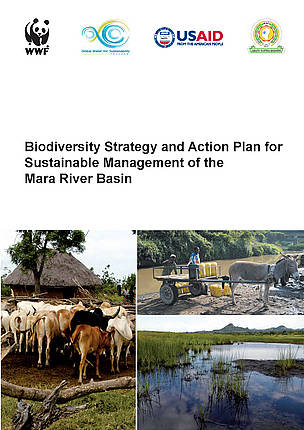 Indonesian biodiversity strategy and action plan