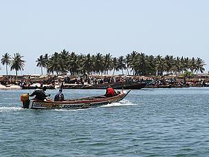 Bustling beachside fish market along the coast south of Joal-Fadiouth
© WWF / Sawyer Blazek
© WWF / Sawyer Blazek