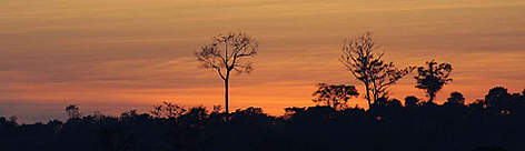 Sunrise at Guarayos indigenous communal land, Santa Cruz, Bolivia.
© WWF / Andrés UNTERLADSTAETTER rel=