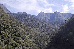 Some 80,000ha of rainforest around Papua New Guinea's Mt Bosavi (2400m) in the Kikoria River Basin ...
© WWF Papua New Guinea
© WWF Papua New Guinea
