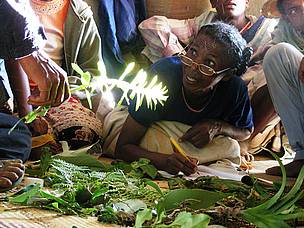 Botany lesson for Elizabeth
© Nicolas Nadeau
© Nicolas Nadeau