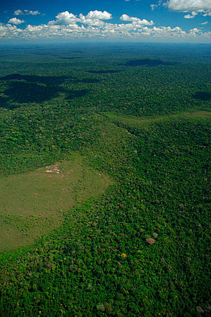 Aerial view of Cerrado savannah area, Juruena National Park, Brazil.
© WWF / Zig KOCH Aerial view of Cerrado savannah area, Juruena National Park, Brazil.
© WWF / Zig KOCH
