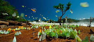 Butterflies near the Augusto Falls, Juruena National Park, Brazil.
The world's incredible ...
© WWF / Zig KOCH
© WWF / Zig KOCH