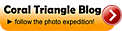 Coral triangle blog © WWF Coral triangle blog