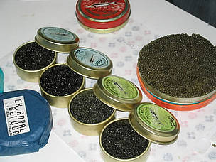 Caviar – the processed, salted roe of certain fish species, most notably sturgeon – is ...
© WWF / Emma Duncan
© WWF / Emma Duncan