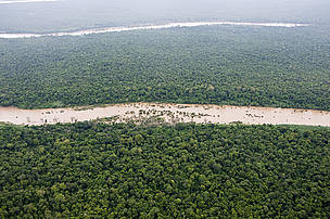 Aerial view of flooded forest in the Cambodian Mekong's central section, a biodiversity hotspot of ...
© Gordon Congdon / WWF-Cambodia
© Gordon Congdon / WWF-Cambodia