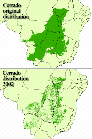 Cerrado distribution: original cover until 2002 / ©: Machado et al, 2005 / ©: Machado et al, 2005