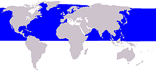 Minke whale range
© Wikipedia Minke whale range
© Wikipedia