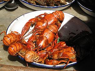 Cooked crayfish
© WWF / Marjolein Kamermans
© WWF / Marjolein Kamermans