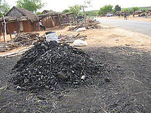 Selling charcoal at the edge of the road
© WWF / Martina Lippuner Selling charcoal at the edge of the road
© WWF / Martina Lippuner