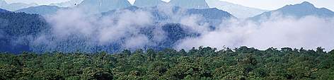 Tropical moist forest. Awa Reserve, La Planada, Colombia.
© Pablo CORRAL / WWF rel=