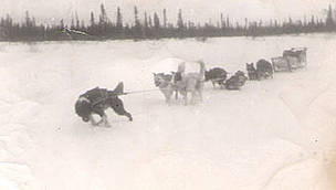 Steven Attla’s dog team in Huslia, Alaska in the winter of 1948.
© Steve Attla Steven Attla’s dog team in Huslia, Alaska in the winter of 1948.
© Steve Attla