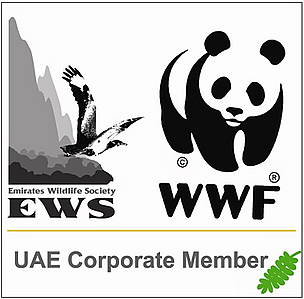Corporate Membership Logo 2009
© EWS-WWF
© EWS-WWF